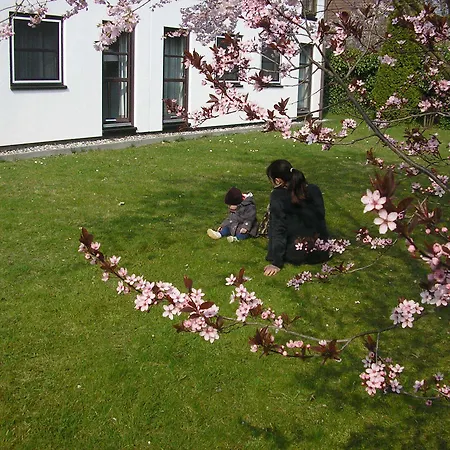 Lindenhotel Штральзунд